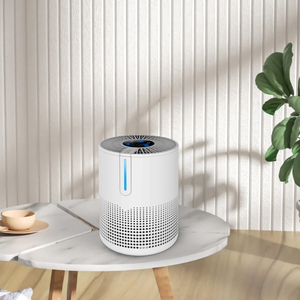 Purificateur d'air portable avec True HEPA pour la maison Anti Virus